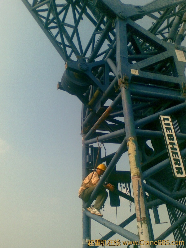 20110903026.jpg