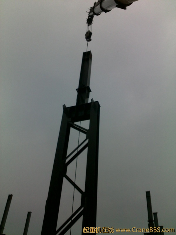 20111206961.jpg
