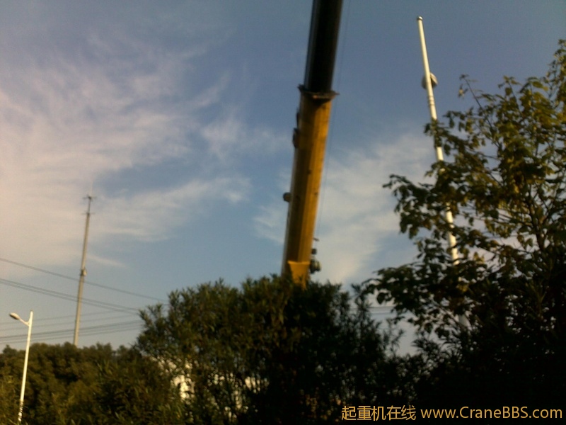 20111209982.jpg