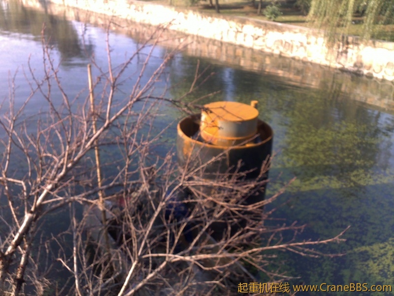 20111209983.jpg