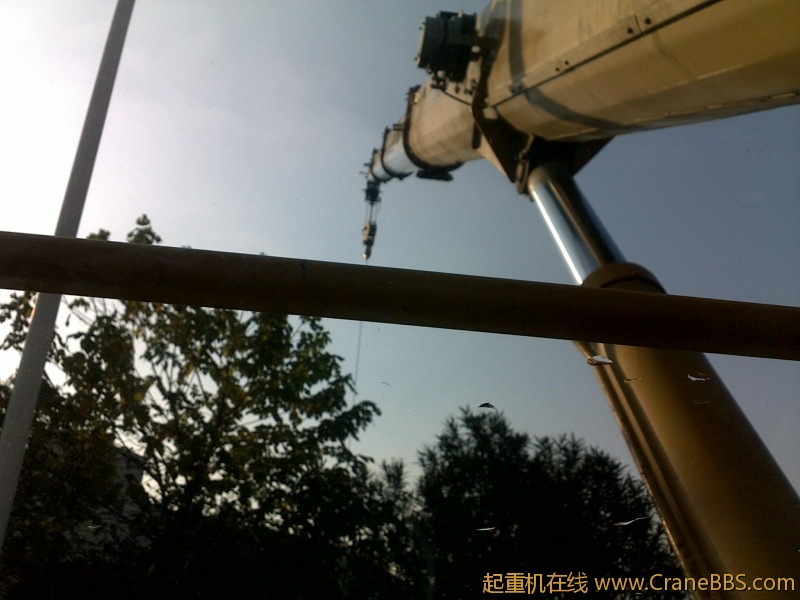 20111209984.jpg