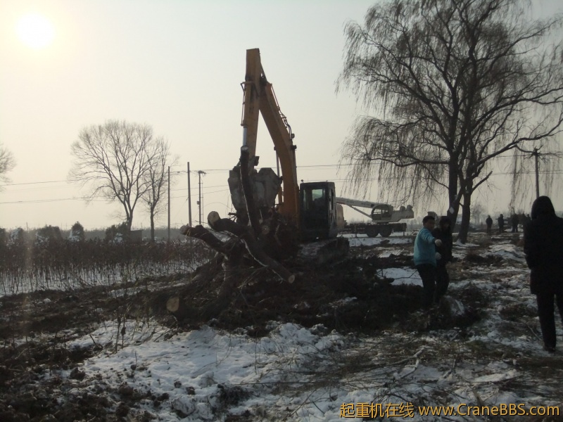 DSCF0438.JPG