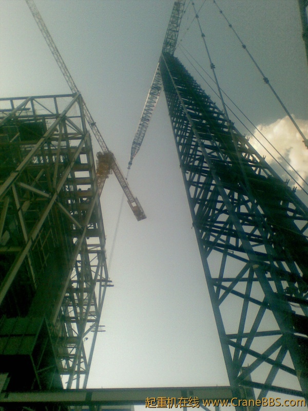 20111128101.jpg