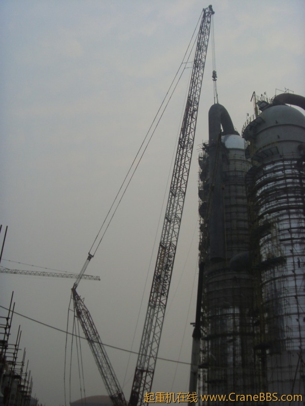 S73F3131_conew1.JPG
