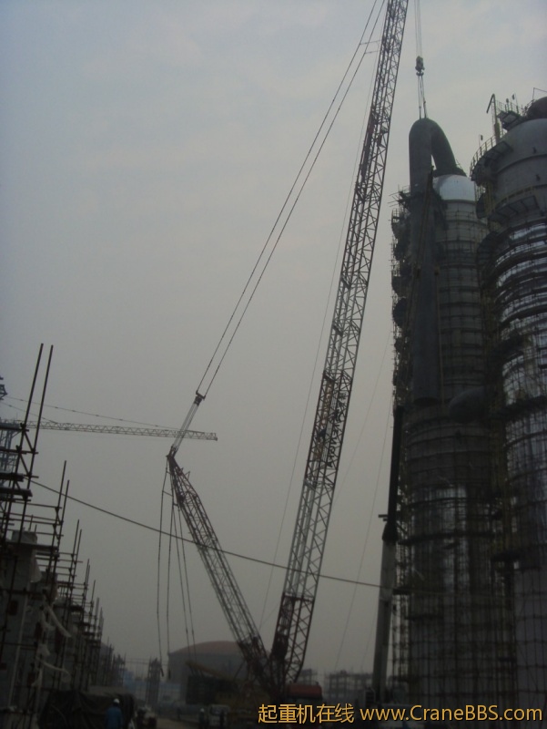S73F3132_conew1.JPG
