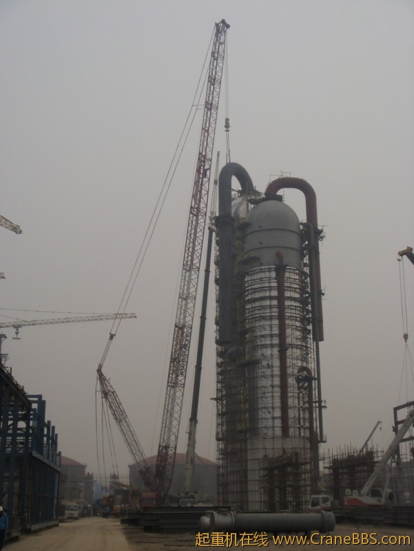 S73F3133_conew1.JPG
