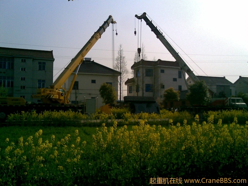 20100405(005).jpg