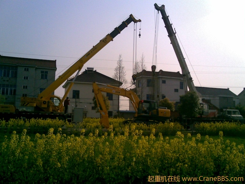 20100405(024).jpg