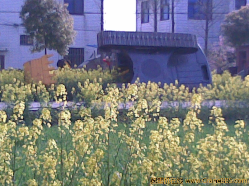 20100405(008).jpg