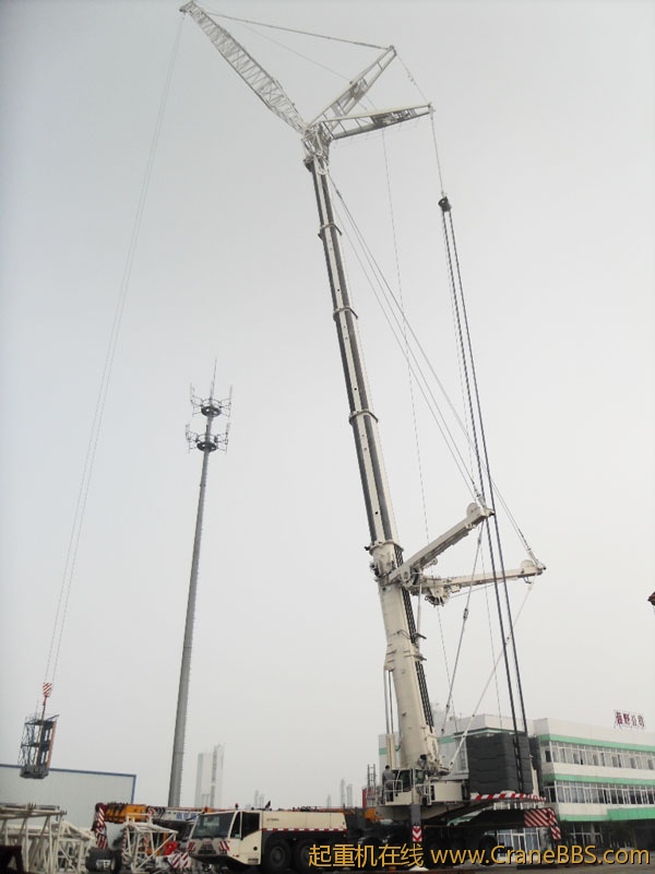 2010122852891497.jpg