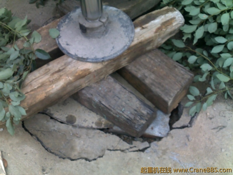201112201041.jpg