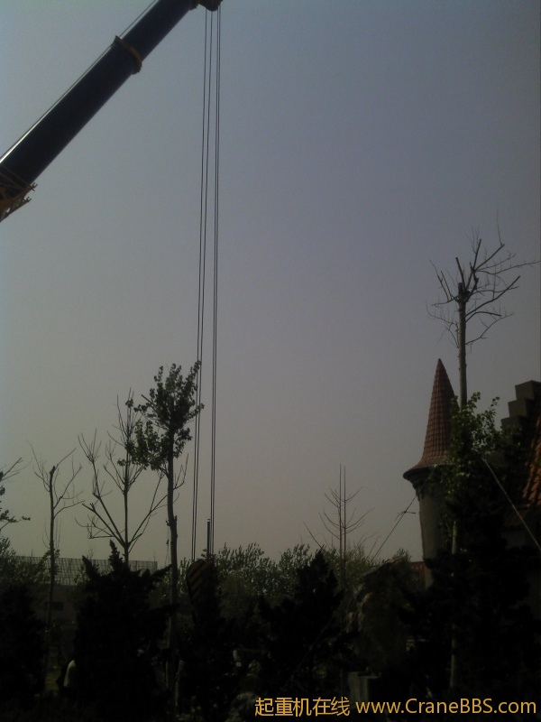 2011-04-16 14.18.57.jpg