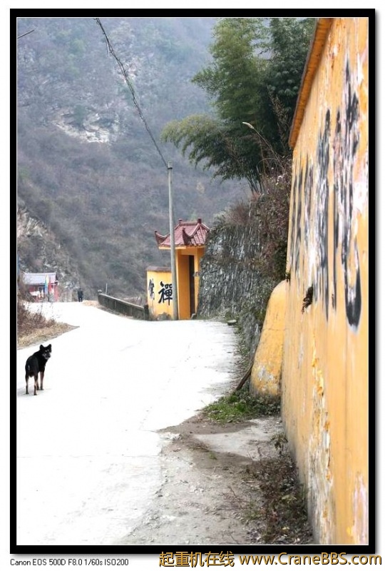 调整大小 IMG_7924.JPG