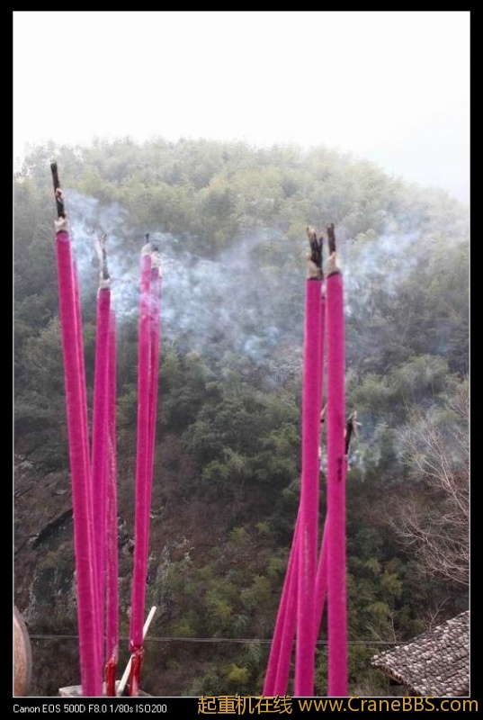 调整大小 IMG_8053.JPG