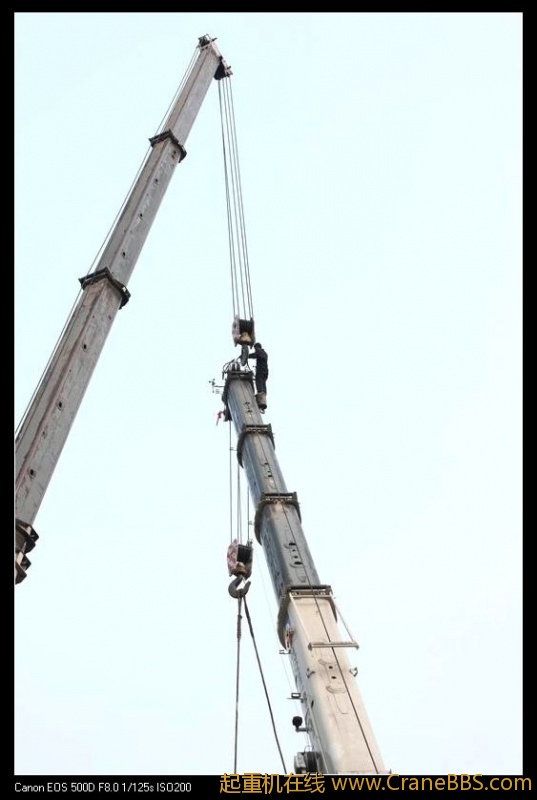 调整大小 IMG_8149.JPG