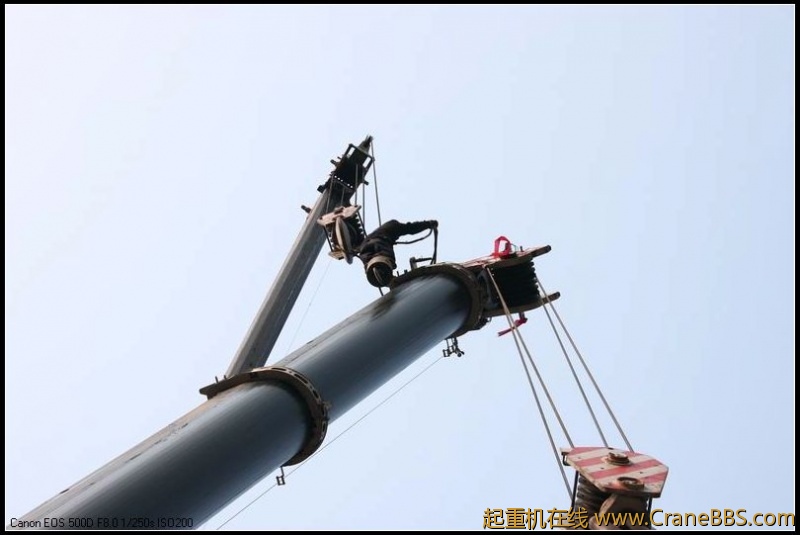 调整大小 IMG_8123.JPG