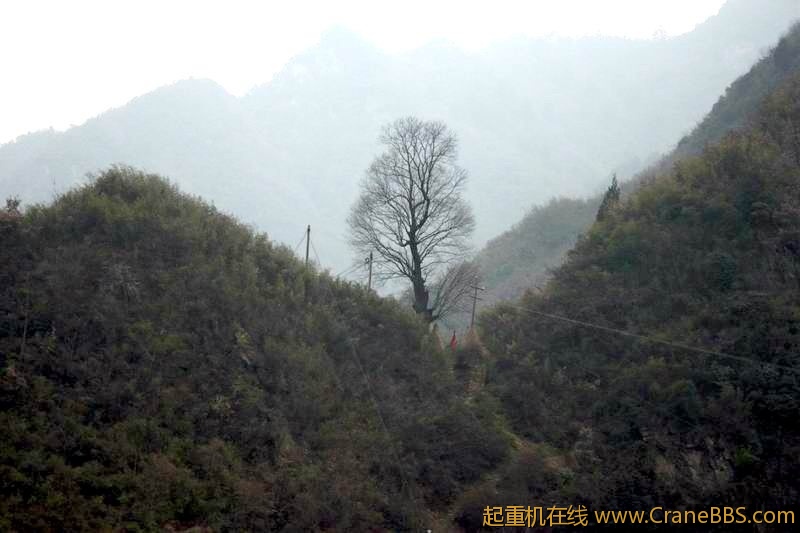 调整大小 IMG_7631.JPG