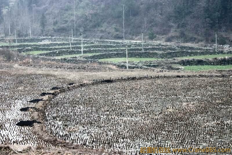 调整大小 IMG_7712.JPG