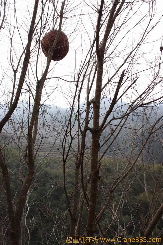 调整大小 IMG_7938.JPG