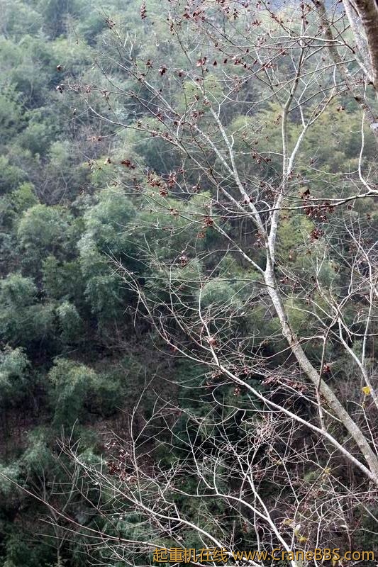 调整大小 IMG_8060.JPG