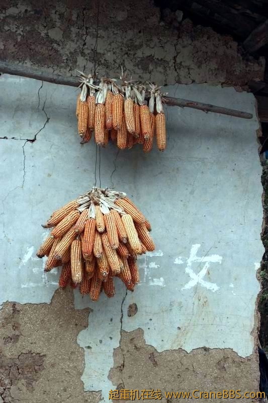 调整大小 IMG_7802.JPG