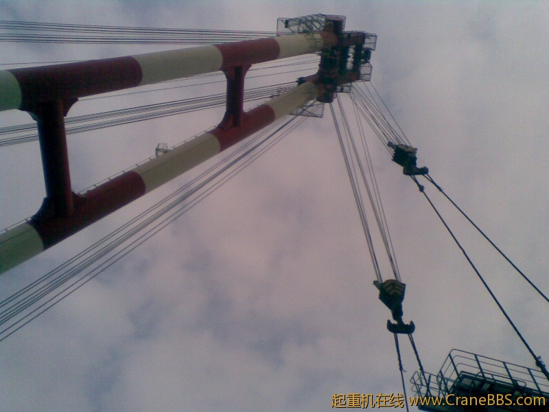 20111228(006).jpg