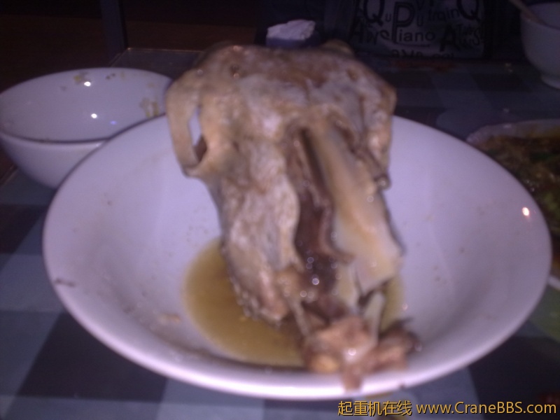 20110928939.jpg