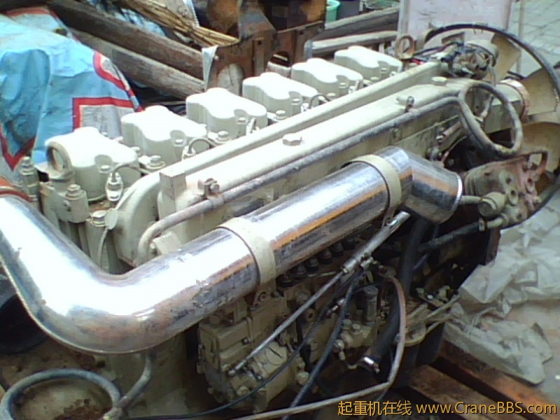IMG0832A.jpg