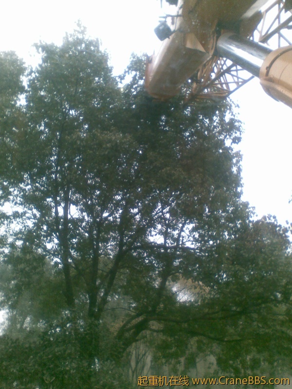 旋转 20120102(009).jpg