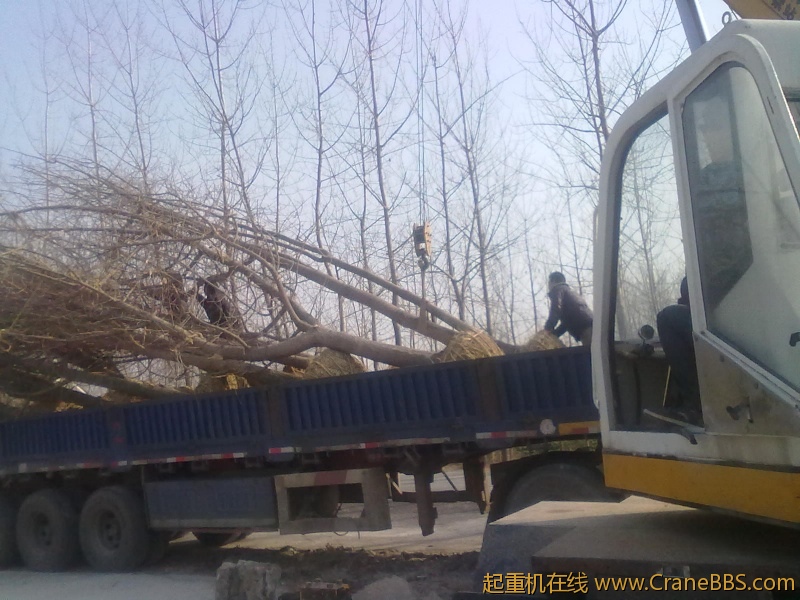 20111224297.jpg