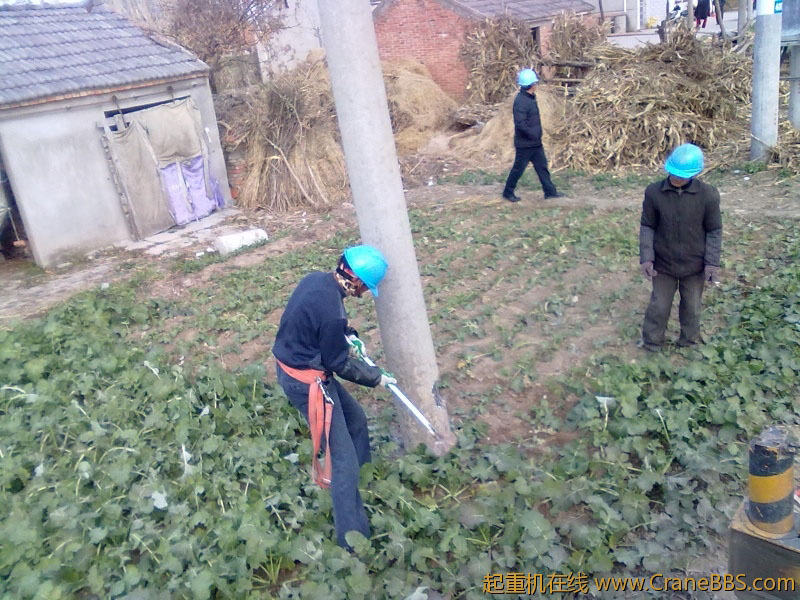 20111227300.jpg