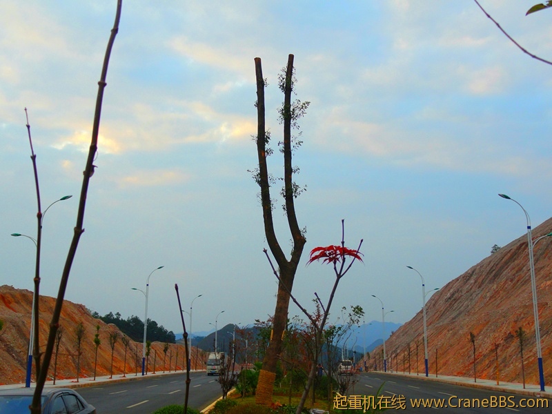 DSC02639_副本.jpg