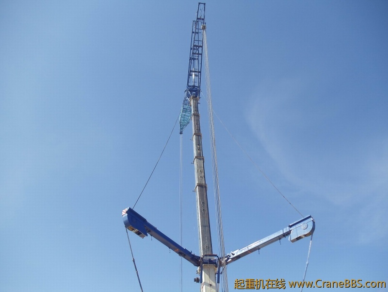 调整大小 DSC00517.JPG