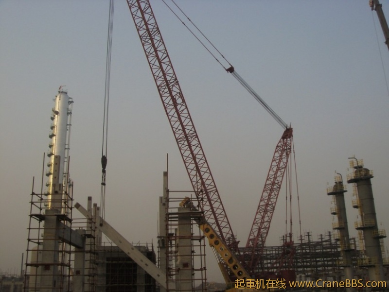 S73F3138_conew1.JPG