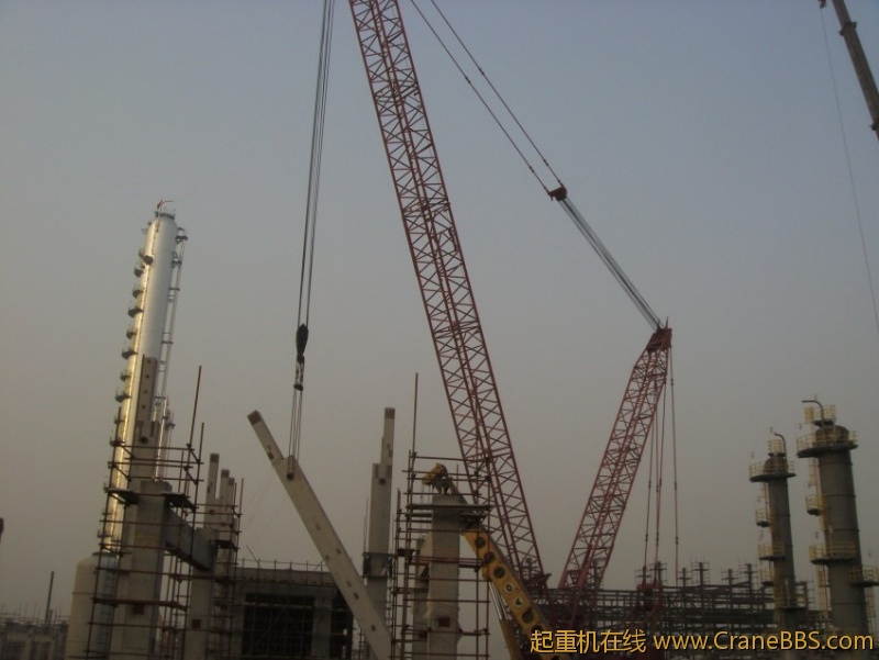 S73F3139_conew1.JPG