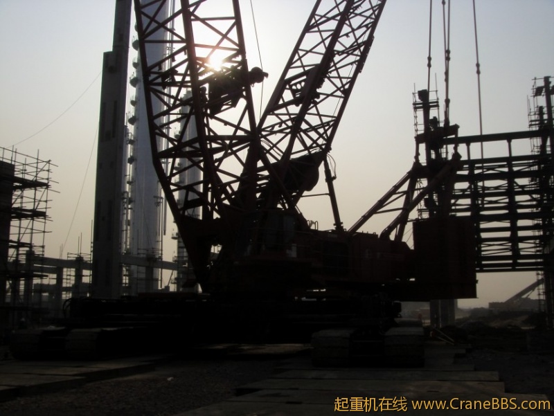S73F3165_conew1.JPG