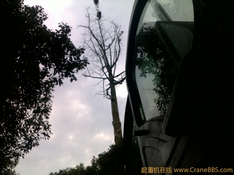 图像193.jpg