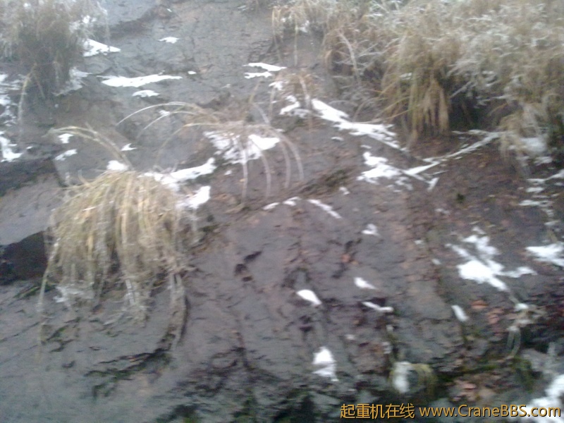 20120106019.jpg