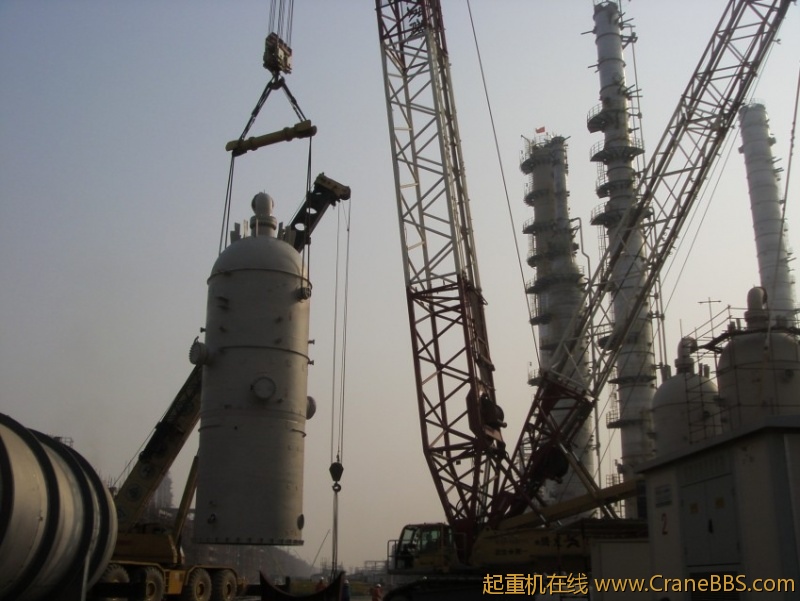 S73F3158_conew1.JPG
