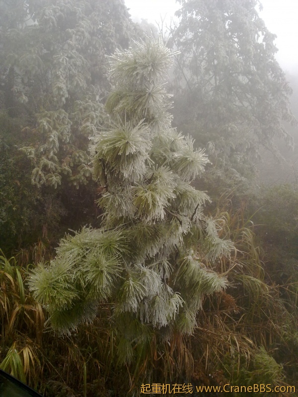 20120106031.jpg