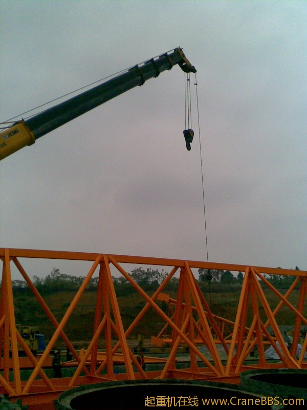 20111106.jpg