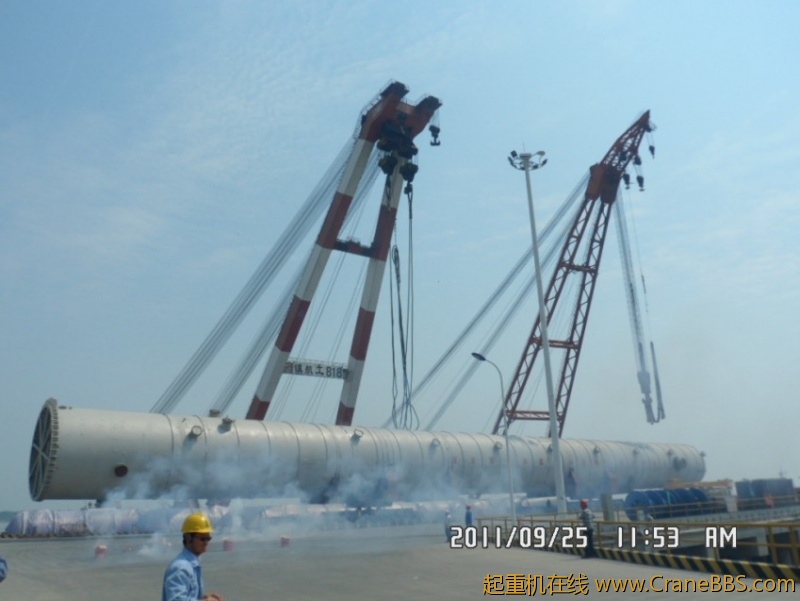 SAM_1778_conew1.JPG