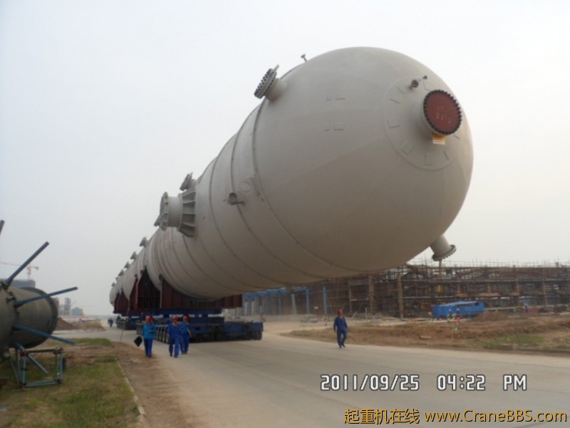SAM_1787_conew1.JPG