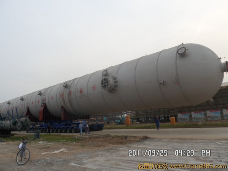 SAM_1789_conew1.JPG