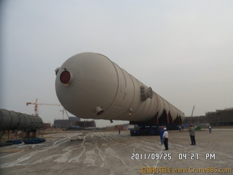 SAM_1791_conew1.JPG
