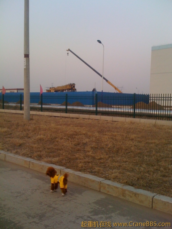 手机照片 5853.jpg