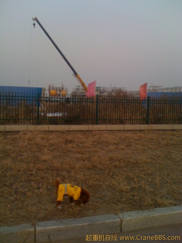 手机照片 5839.jpg