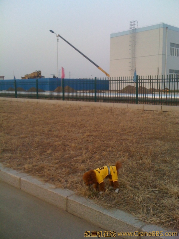 手机照片 5840.jpg