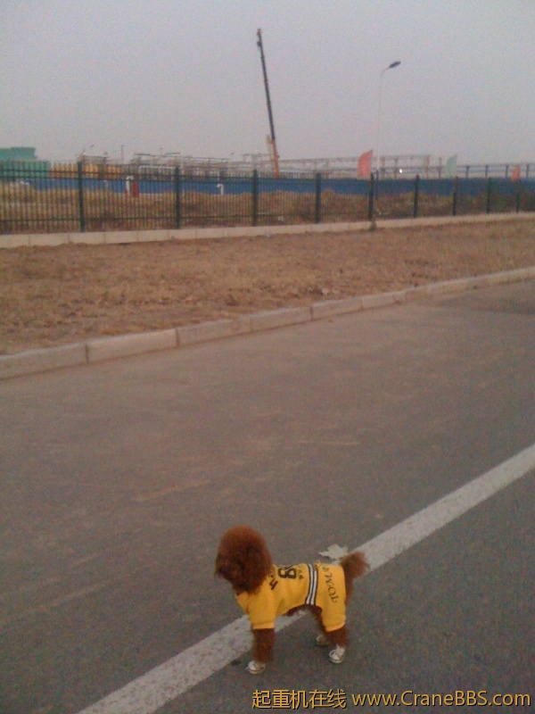 手机照片 5833.jpg