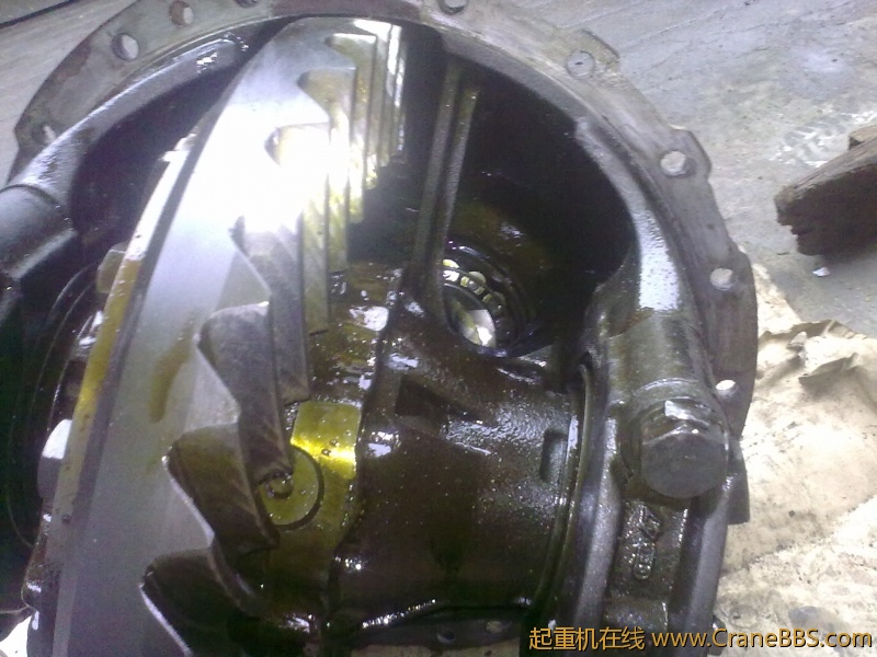 20111107434.jpg